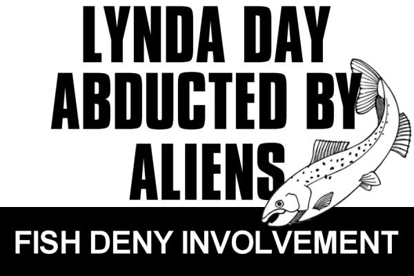 LyndaAbductedHeadline
